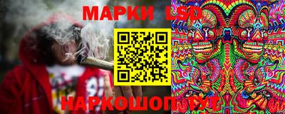 гидропоника Ипатово