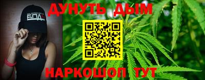 индика Ирбит