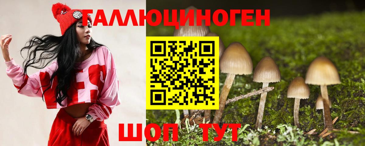 Псилоцибиновые грибы GOLDEN TEACHER Новомосковск